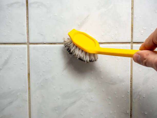Best Mold Remediation  in Doffing, TX