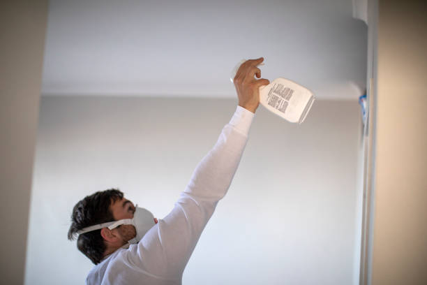Best Same-Day Mold Removal  in Doffing, TX