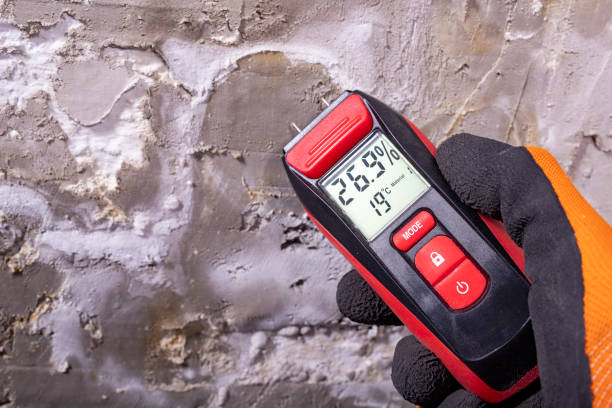 Best Home Mold Removal  in Doffing, TX
