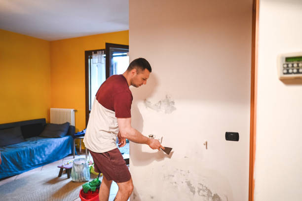 Best Residential Mold Removal  in Doffing, TX