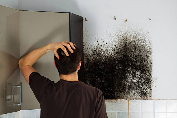 Home Mold Removal in Doffing, TX